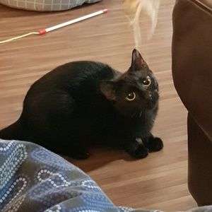 Meet your Posher, Laura